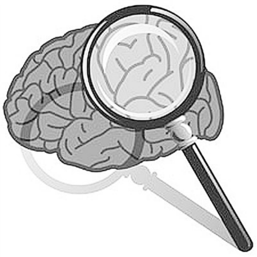 提升记忆力的15种方法